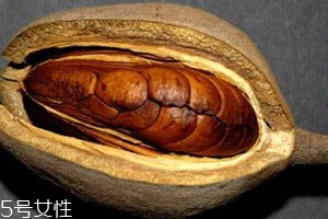 向天果的用量 根據自身情況選擇服用量。