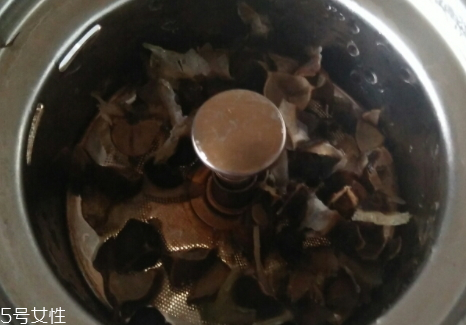 辣木籽的殼能泡水喝嗎 當然可以
