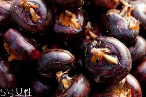 馬蹄發芽還能吃嗎 建議扔掉