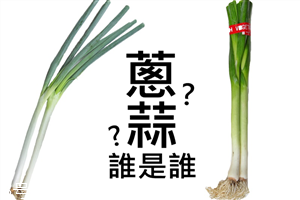 蔥和蒜苗的區別 蔥蒜怎么區分