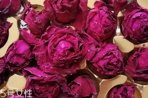 墨紅玫瑰可以天天喝嗎？玫瑰養顏也要適量