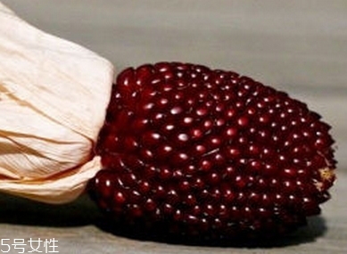 草莓玉米多少錢一斤？酷似草莓的玉米