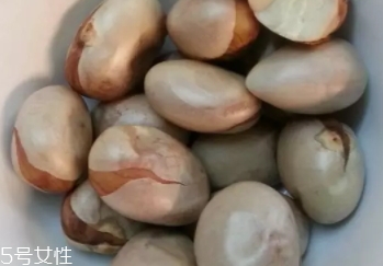 榴蓮蜜的功效作用 營養價值