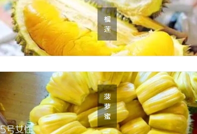 榴蓮蜜的功效作用 營養價值