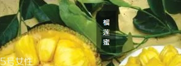 榴蓮蜜哪里能吃？哪里不能吃