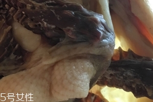 板鴨怎么做好吃？這樣做香氣撲鼻