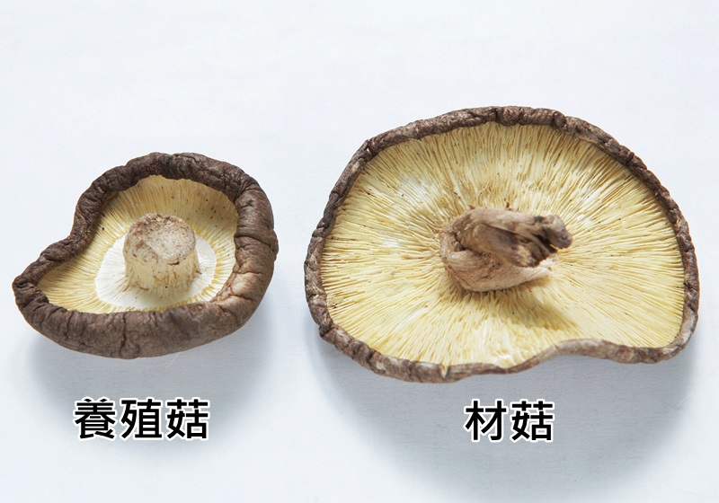 干香茹怎么挑選 4招挑出好品質