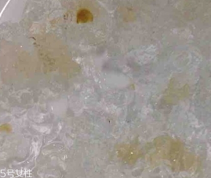 雪燕和桃膠能一起燉嗎？