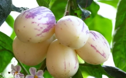 香瓜茄孕婦可以吃嗎？香瓜茄功效多