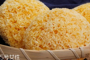 丑耳為什么煮起來不糯？丑耳怎么泡發