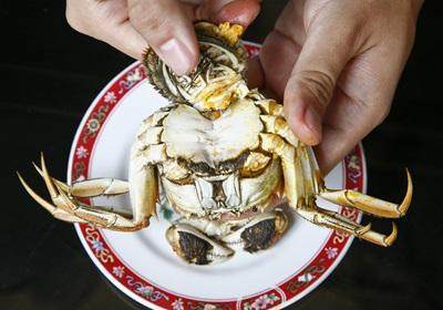 陽澄湖大閘蟹怎么吃？食陽澄湖大閘蟹注意事項