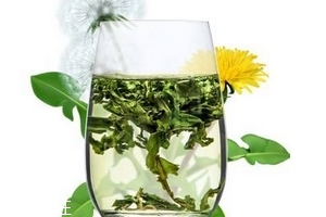蒲公英茶哪個牌子好？大牌子值得信賴