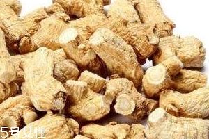 西洋參是哪里產的？長白山為主要產地