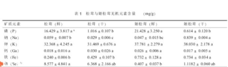 姬松茸和松茸的區別
