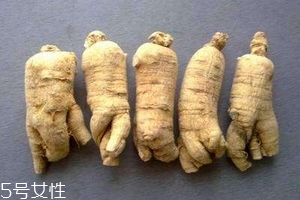 西洋參會回奶嗎？不用擔心這個問題