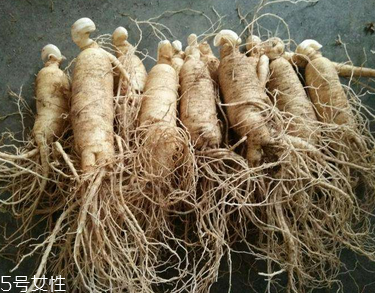 西洋參會推遲月經(jīng)嗎？這個(gè)是有可能的