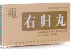 金匱腎氣丸和右歸丸區別 