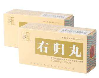 金匱腎氣丸和右歸丸區別 
