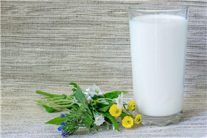 保久乳和鮮乳的區別 哪個更有營養