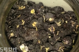黑枸杞還還是紅枸杞好？各有千秋