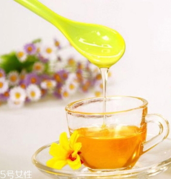 麥盧卡蜂蜜和普通蜂蜜有什么區(qū)別？貴得有理由