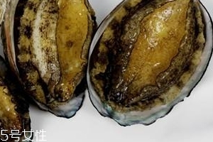 鮑魚罐頭好吃嗎？味道還可以