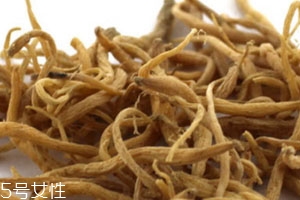 太子參什么季節吃 秋冬可以適當食用