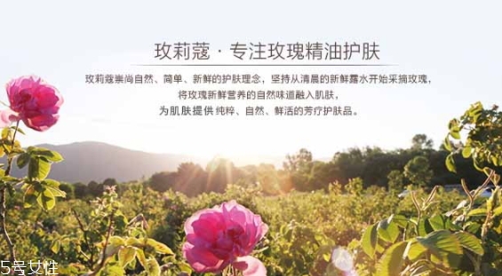 玫莉蔻護膚品怎么樣？主打玫瑰的護膚品牌
