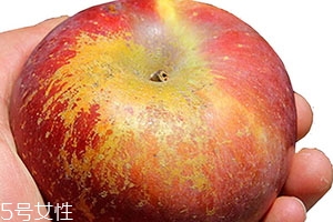 丑蘋果是和普通蘋果的區別