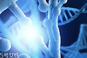 egf和玻尿酸的區別