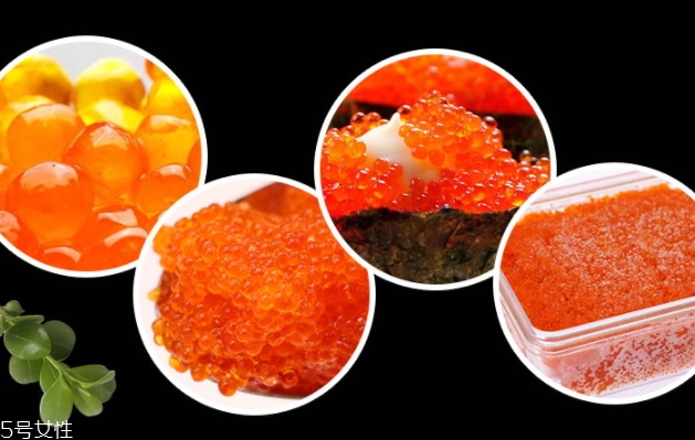 飛魚籽是什么魚的籽？壽司美味的秘訣