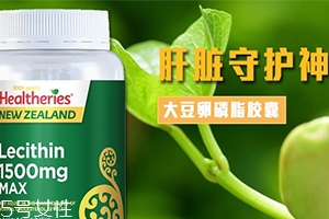 卵磷脂多少錢一瓶？人體的三大營養素