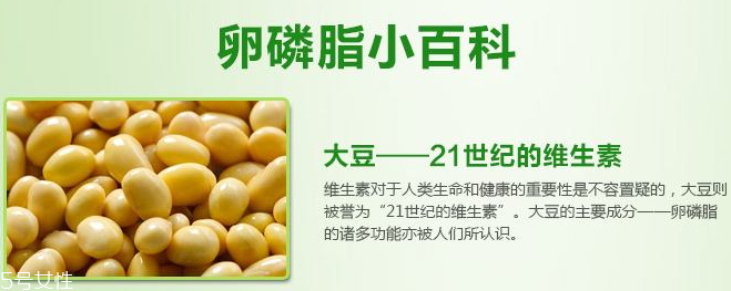 卵磷脂什么時候吃最好？早晚飯前最佳
