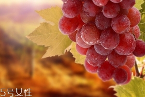 葡萄籽會便秘嗎？葡萄籽能緩解便秘