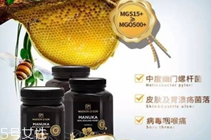 沃森麥盧卡蜂蜜怎么吃？watsonson麥盧卡蜂蜜這樣服用