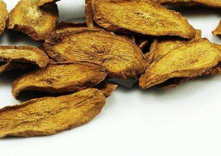 牛蒡茶是什么做的？牛蒡茶是樹(shù)根嗎？