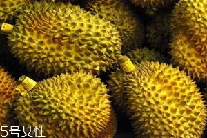 越南榴蓮多少錢一斤 越南榴蓮與泰國榴蓮的區別