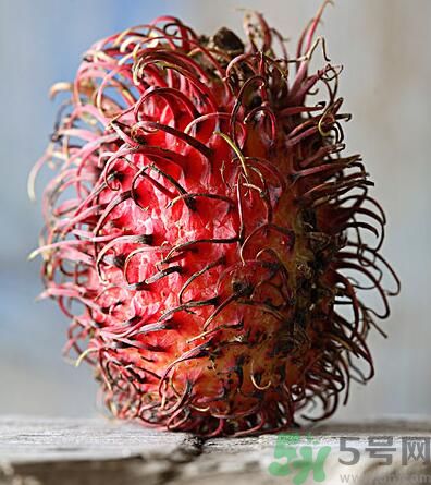 紅毛丹的核能吃嗎？紅毛丹的核可以吃嗎？