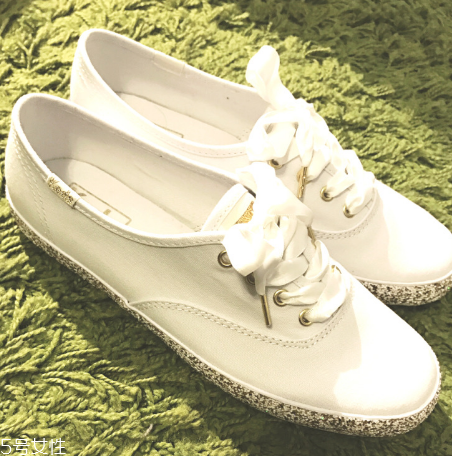 keds小白鞋多少錢？keds帆布鞋正品價位