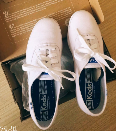 keds小白鞋多少錢？keds帆布鞋正品價位