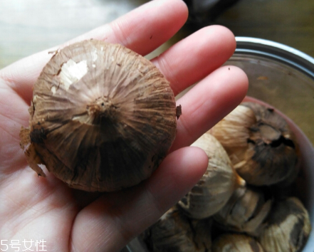 黑蒜的價格多少錢一斤？黑蒜很貴嗎？