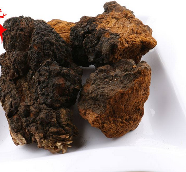 樺樹茸怎么吃？樺樹茸正確吃法