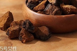 樺樹茸是樹黃嗎？樺樹茸屬于什么