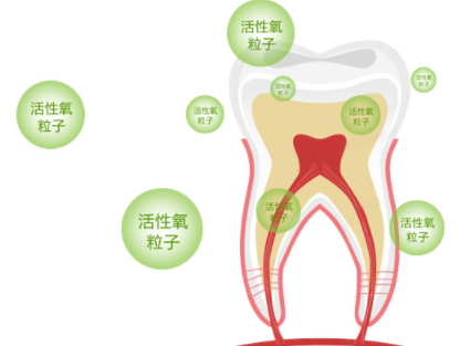 牙貼怎么分上下牙貼？牙貼怎么分正反
