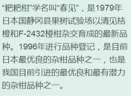 枇杷柑是丑橘嗎？枇杷柑和丑橘的區別