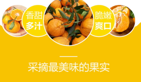 不知火和丑八怪的區別 不知火是丑八怪嗎