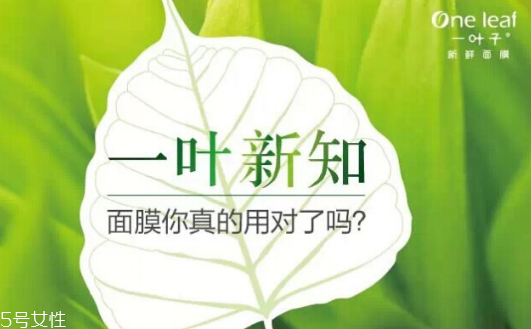 一葉子和膜法世家哪個好 一葉子和膜法世家區別