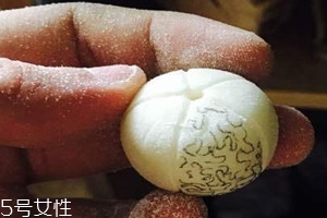 象牙果怎么盤玩 象牙果怎么保養
