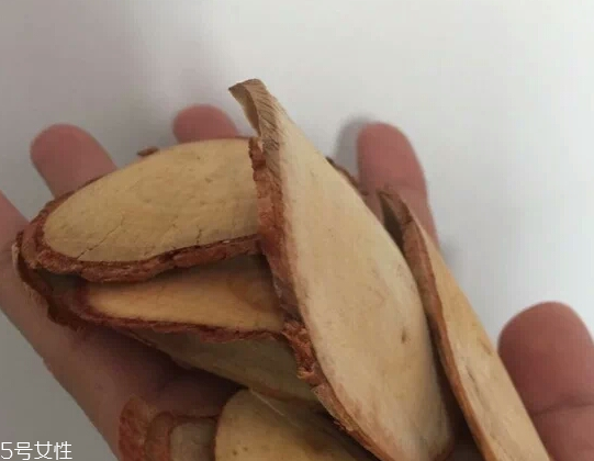 東革阿里是中藥嗎？東革阿里是什么？