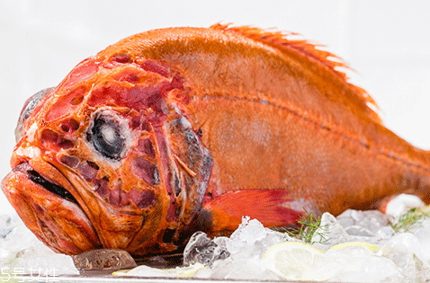 長(zhǎng)壽魚(yú)多少錢(qián)一斤 長(zhǎng)壽魚(yú)為什么叫長(zhǎng)壽魚(yú)